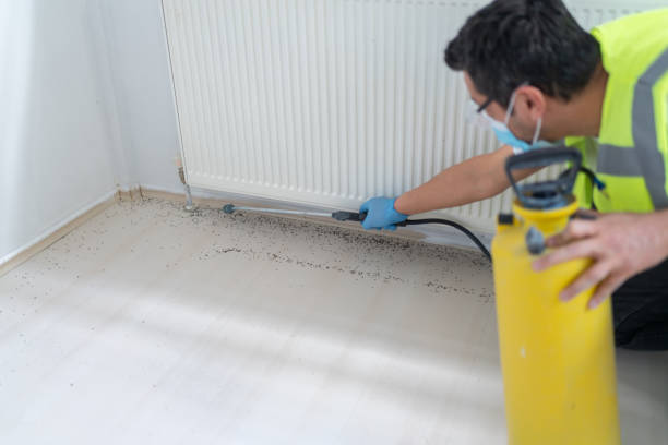 Best Ant Control Services  in Kalama, WA